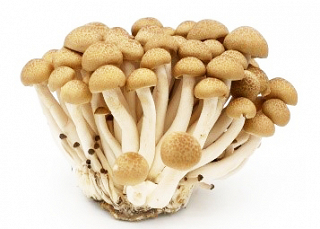 Mushrooms Brown Shimeji 150g