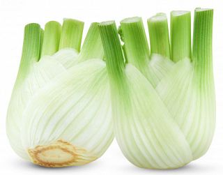 Fennel 1Pc