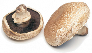 Mushrooms Portobello 400g