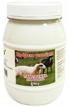 Παμπουκκά Πρόβειο Γιαούρτι 700g