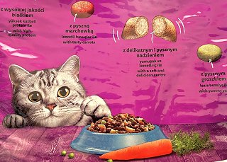 Whiskas Dry Food With Chicken 3,8kg