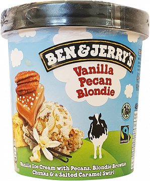 Ben & Jerrys Vanilla Pecan Blondie Ice Cream 465ml