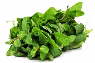 Mint Bunch