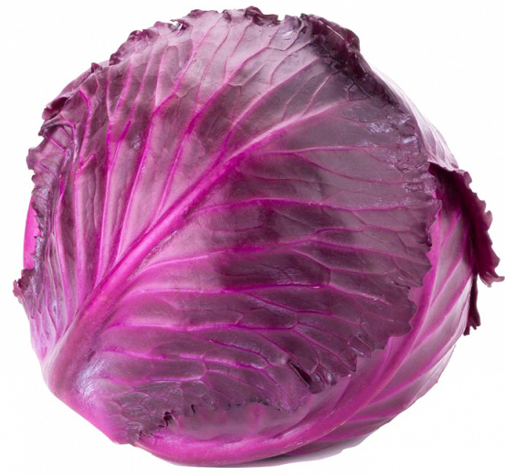 Red Cabbage 1Pc