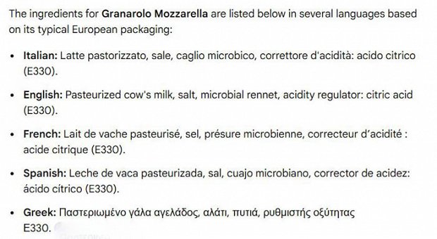Granarolo Mozzarella Italian Fresh Cheese 220g