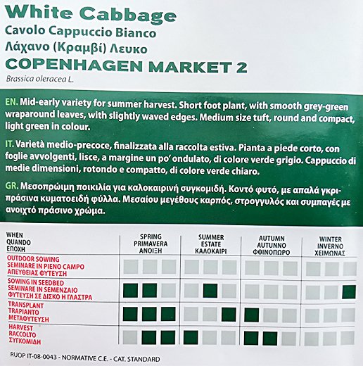 The Gardener Profit Seeds White Cabbage