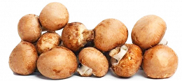 Mushrooms Brown Portobelini 500g