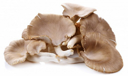 Mushrooms Oyster 350g