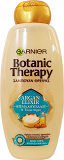 Garnier Botanic Therapy Argan Elixir Σαμπουάν Για Πολύ Ξηρά Ατίθασα Μαλλιά 400ml