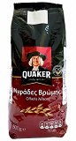 Quaker Νιφάδες Βρώμης 500g