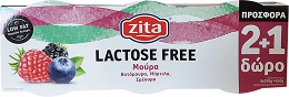 Zita Fantasy Γιαούρτι Lactose Free Μούρα 150g 2+1 Δώρο