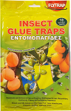 Flytrap Insects Glue Traps 10Pcs