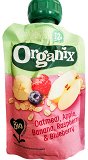 Organix Bio Oatmeal Apple Banana Raspberry Blueberry Puree 100g