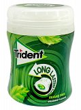 Trident Long Lasting Flavour Spearmint Sugar Free Gums 50,6g