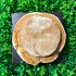 Constantinides White Bread 850g
