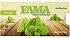 Elma Mastiha Chios Mint Sugar Free Chewing Gums 13g