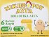 Nikiforou Eggs Organic Eggs Size M 6Pcs