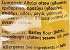 Marias Barley Cracker Rolls 300g