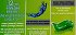 Close Up Everfresh Menthol Paradise Toothpaste 90g