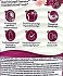 Lenor La Collection Bliss Concentrate Fabric Softener 55 Washes 1.155L