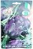 The Gardener Profit Seeds Artichoke
