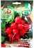 The Gardener Profit Seeds Radish