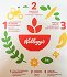 Kelloggs Corn Flakes 500g