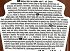 Heinz Zero Ketchup No Added Sugar & Salt 400ml