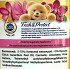 Cajoline Fresh & Protect Άγρια Ορχιδέα & Σανδαλόξυλο Συμπυκνωμένο Μαλακτικό 1725ml