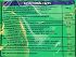 Rice Cracks Minis Rice Snacks Salt Vinegar 35g