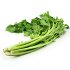 Celery Bunch