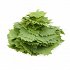Vine Leaves 1kg