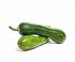 Balkapa Sweet Zucchini 1kg